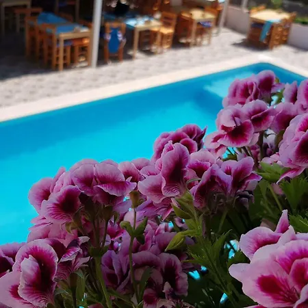 Hakan Apartment *