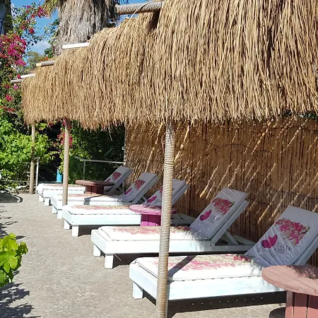 Appartement Hakan Bitez